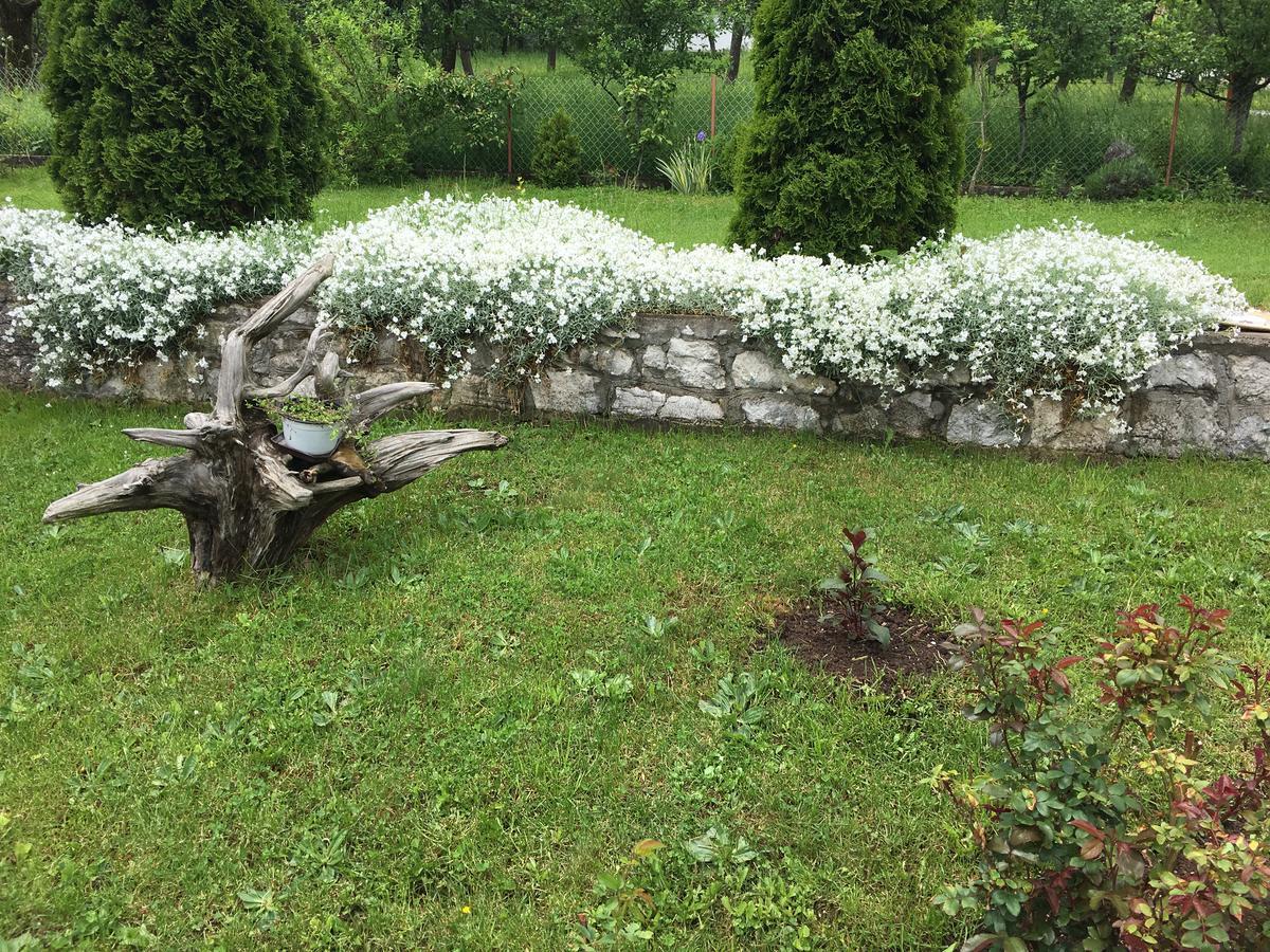 Brvnare Cirkovic Villa ซลาตีบอร์ ภายนอก รูปภาพ